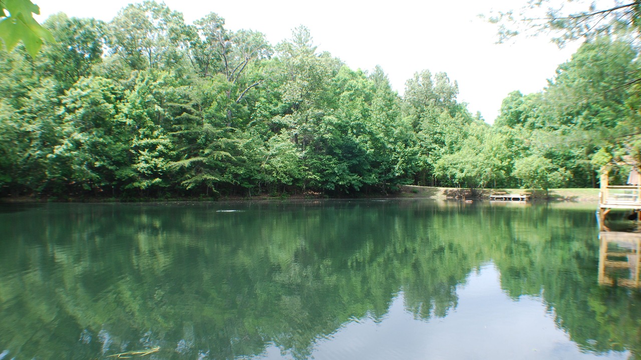 Photo of Others in Brasstown