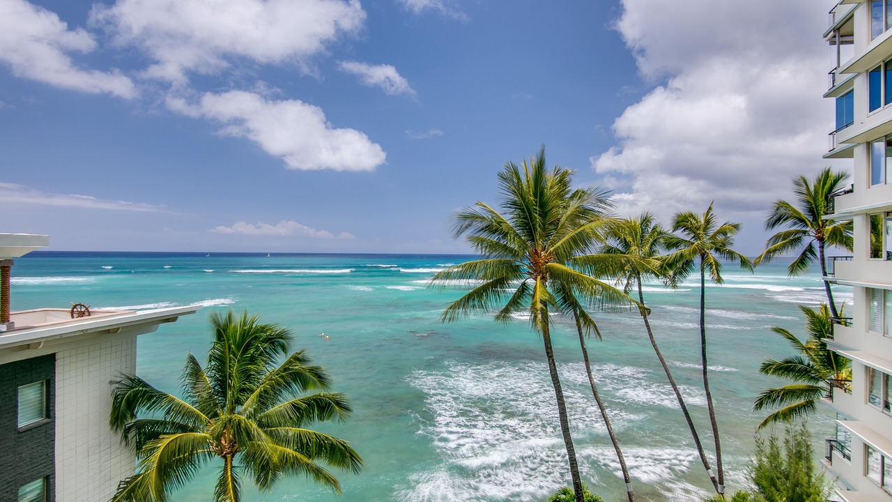 Photo of Others in Diamond Head - Kapahulu - St. Louis