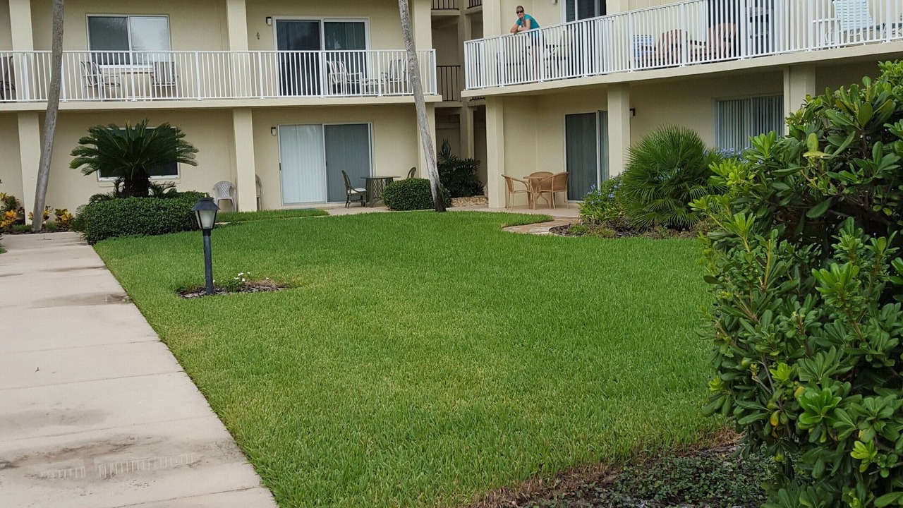 Photo of Others in St. Augustine Beach