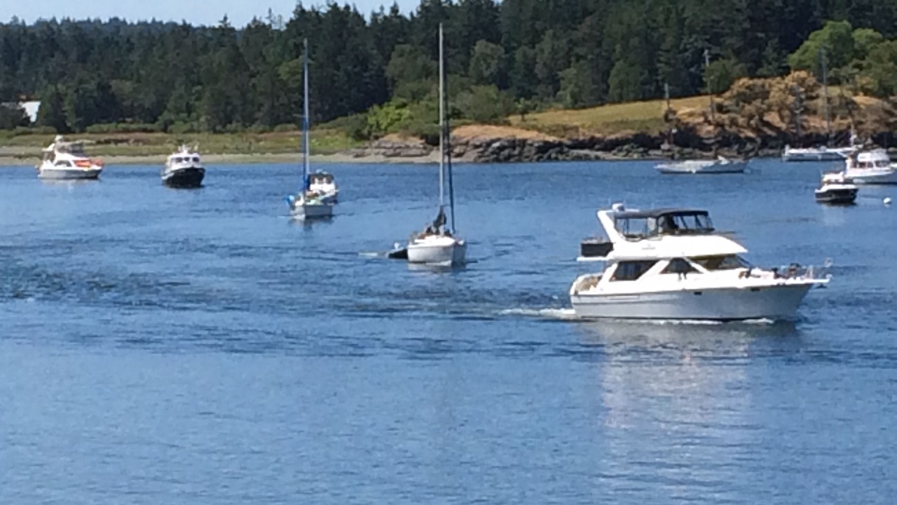 Photo of Others in Lopez Island