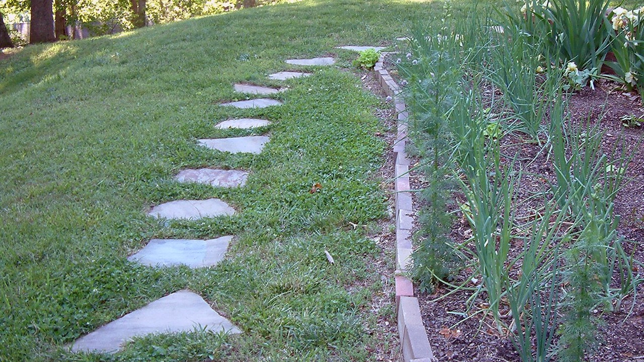 Photo of Others in Asheville