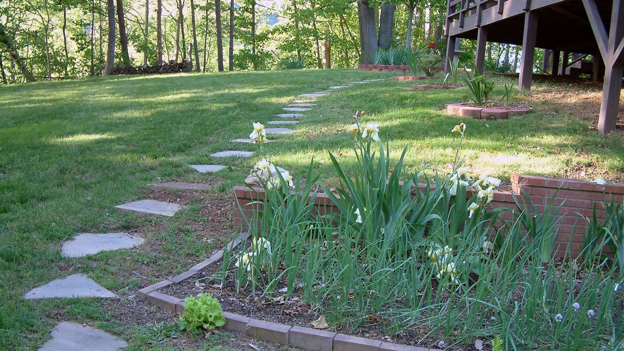 Photo of Others in Asheville