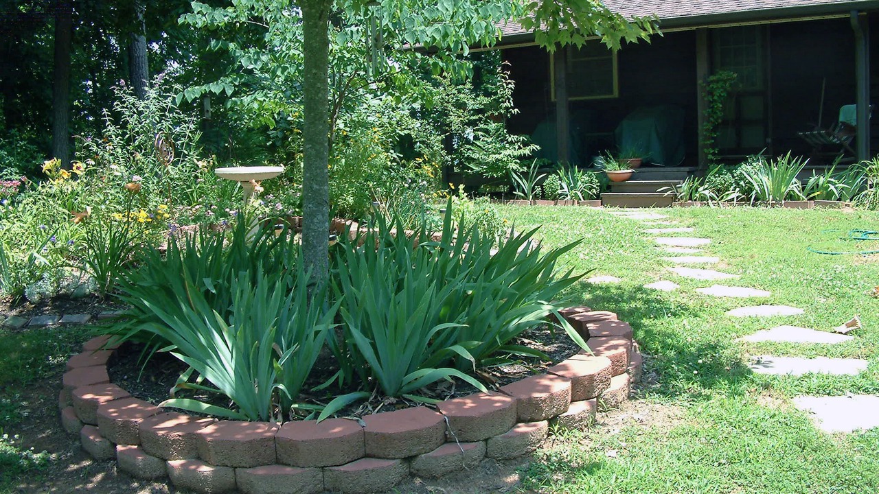 Photo of Outdoor in Asheville