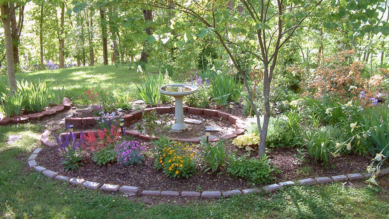 Photo of Others in Asheville