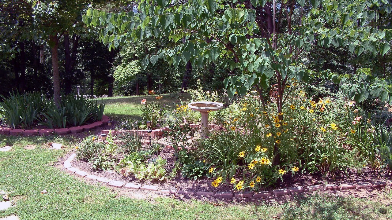 Photo of Outdoor in Asheville