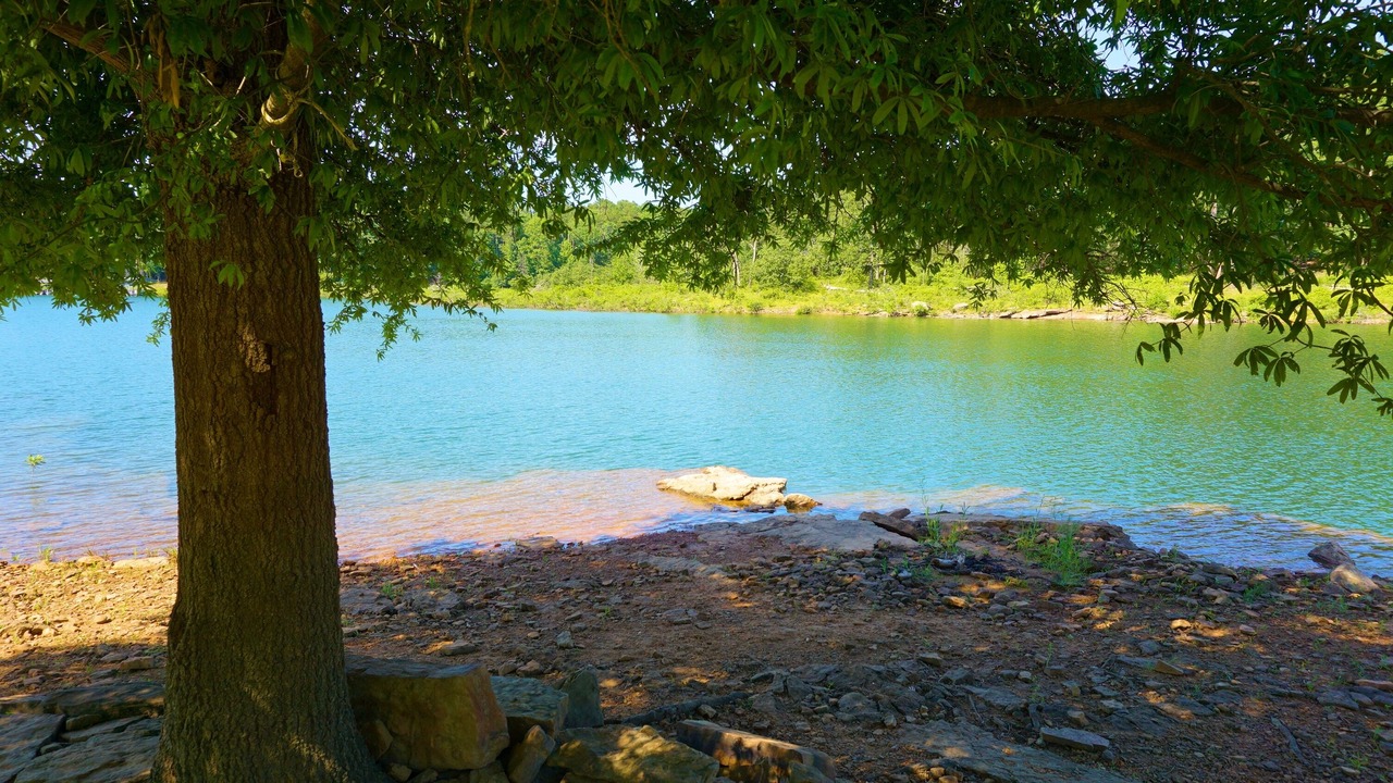 Photo of Others in Higden