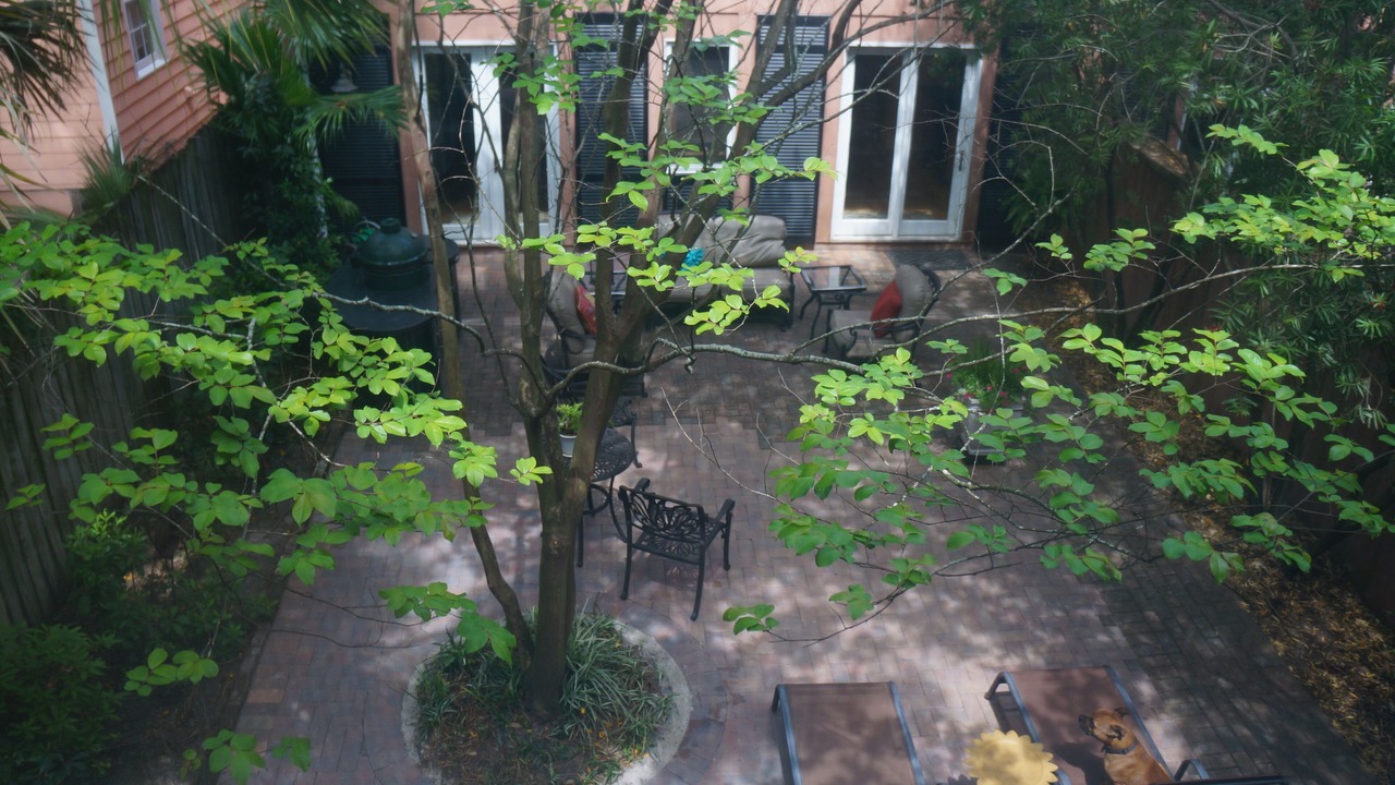 Photo of Outdoor in Beach Institute