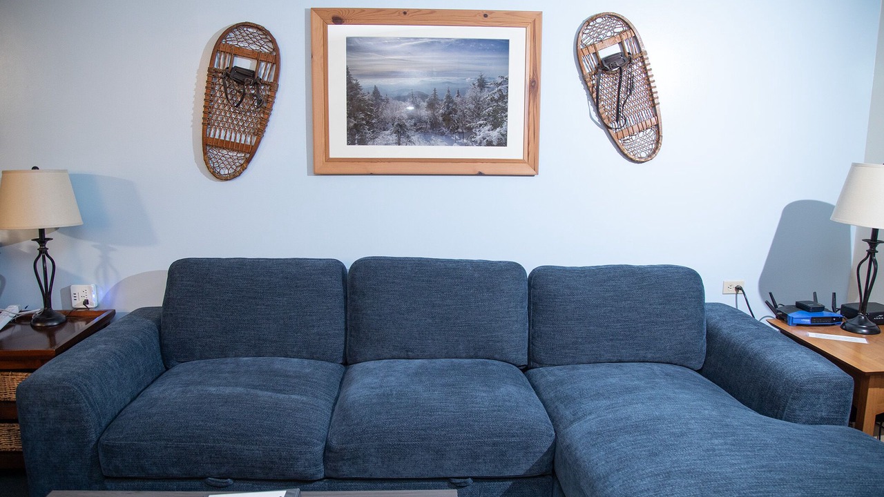 Photo of Livingroom in Hensonville