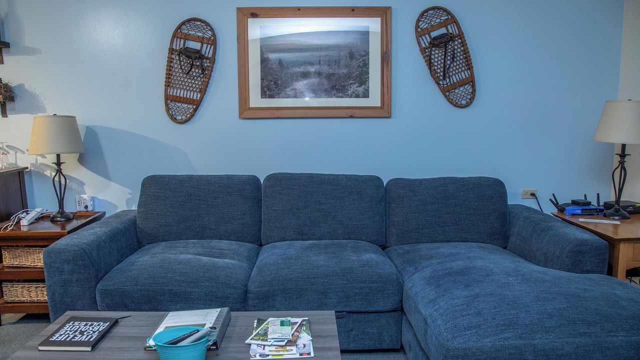 Photo of Livingroom in Hensonville