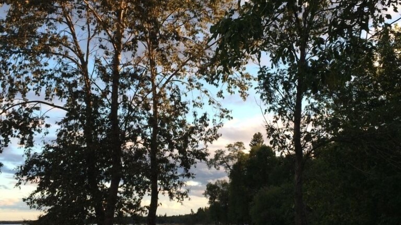 Photo of Outdoor in Arnes