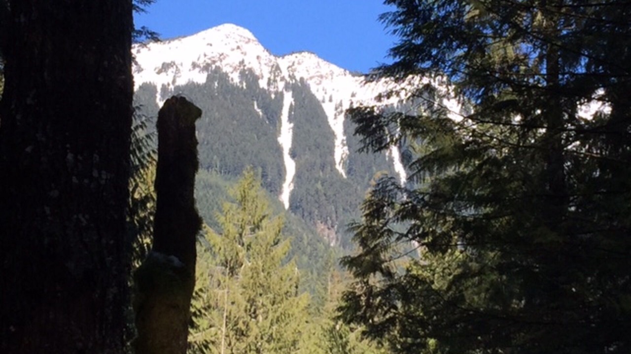 Photo of Others in Glacier