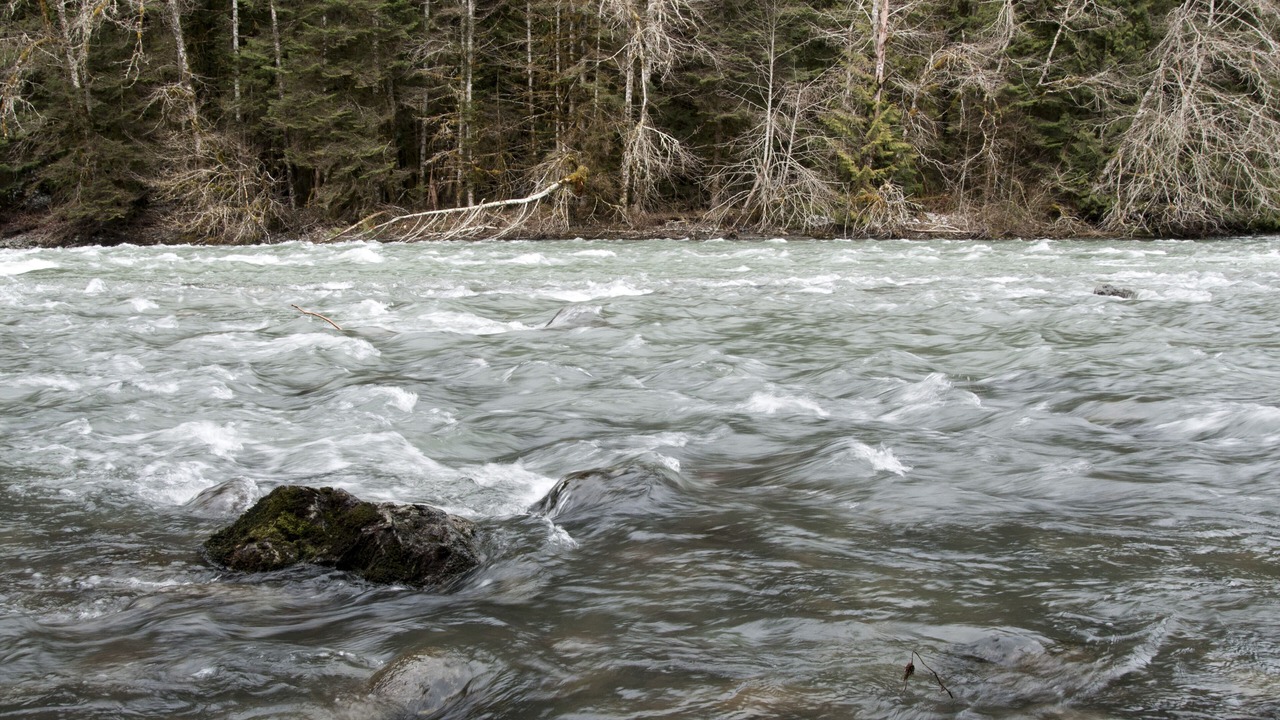 Photo of Others in Glacier