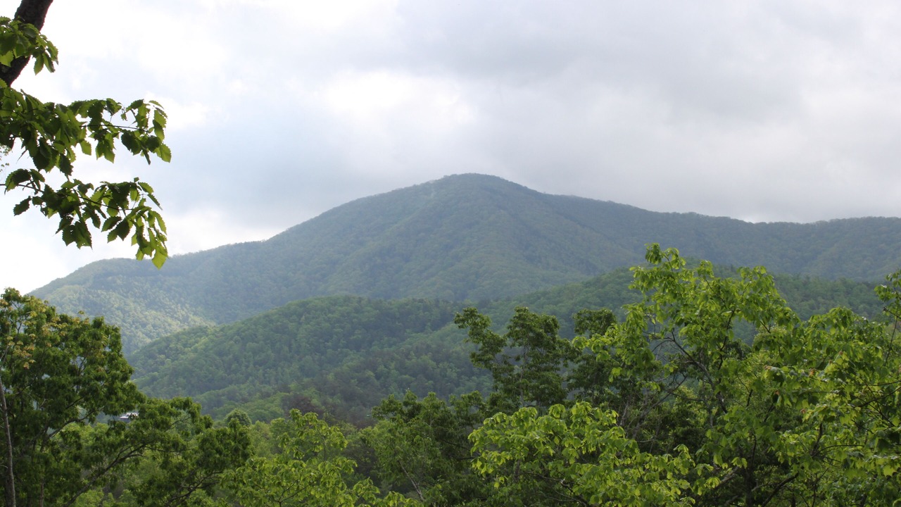 Photo of Others in Wears Valley
