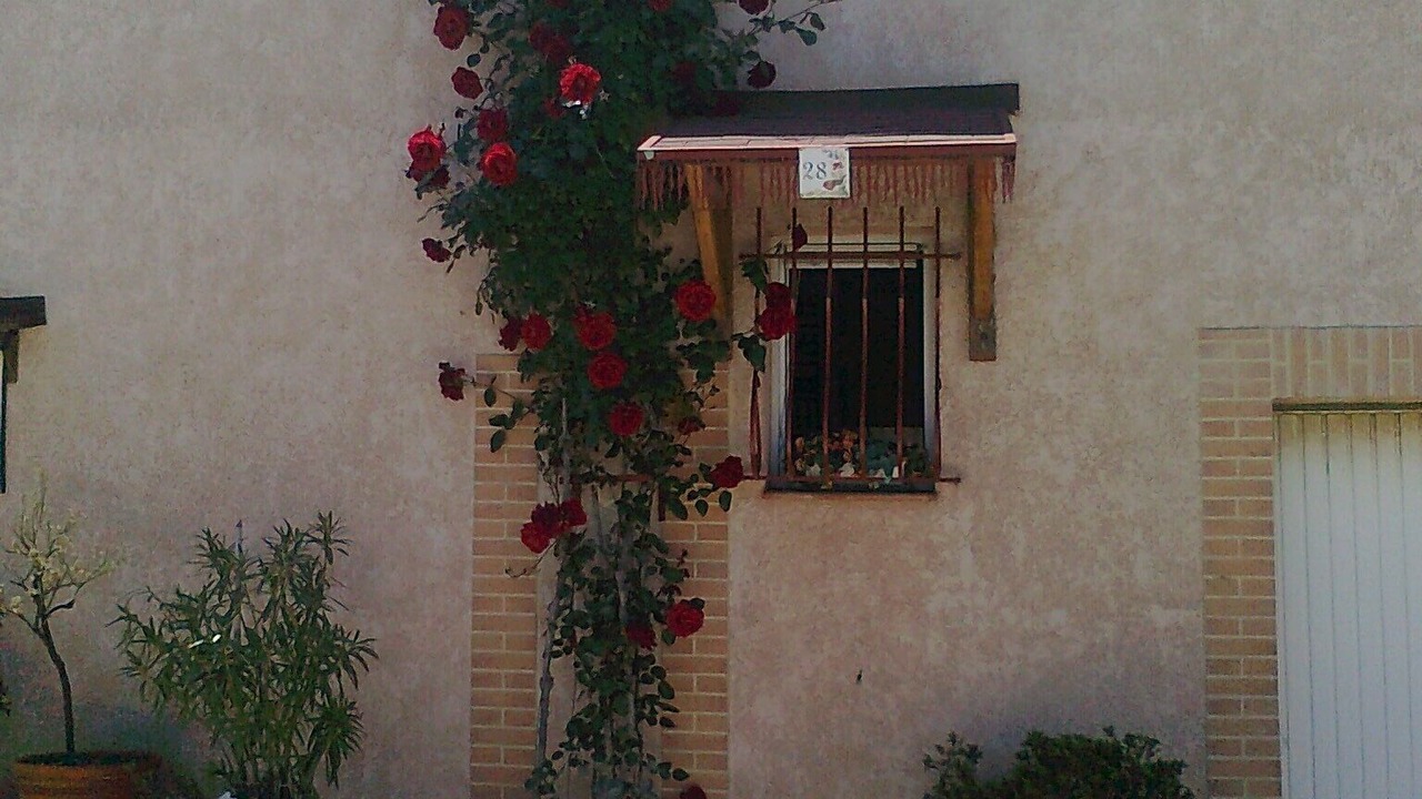 Photo of Outdoor in Torreilles