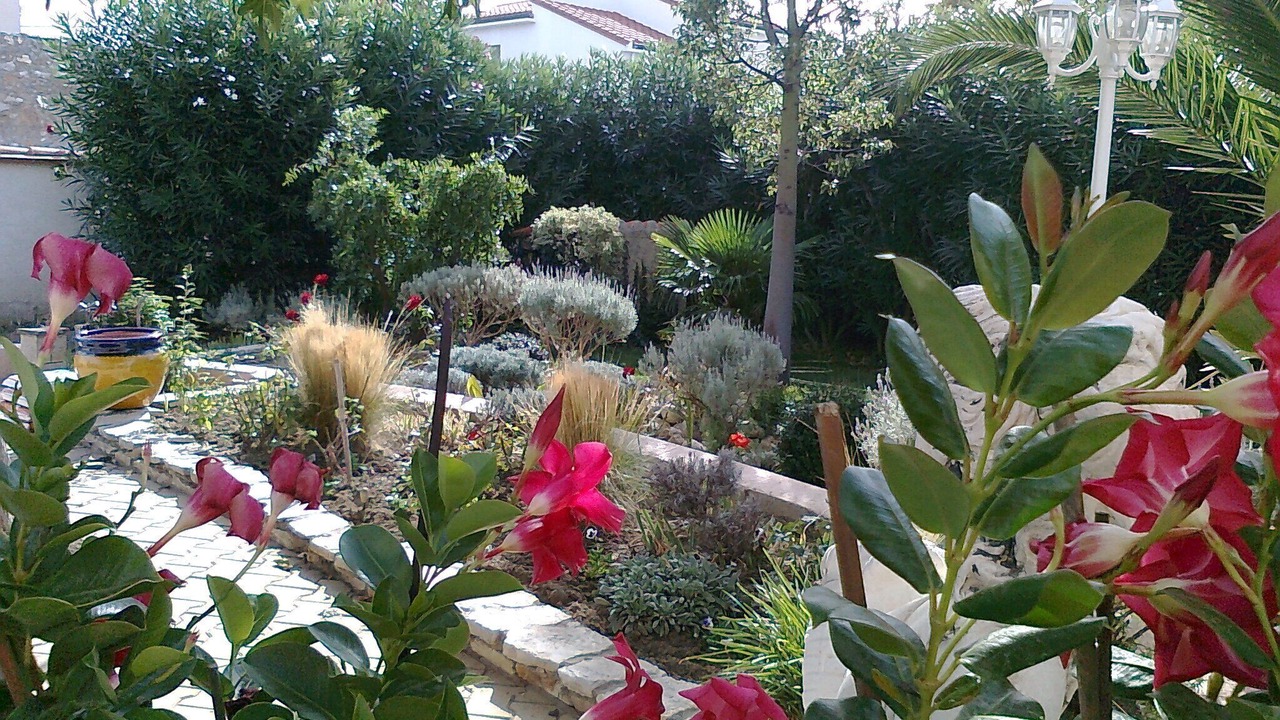 Photo of Outdoor in Torreilles