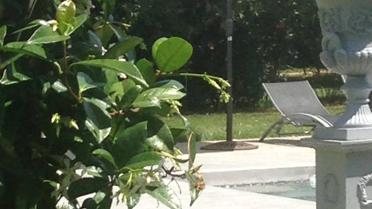 Photo of Outdoor in Saint-Gilles