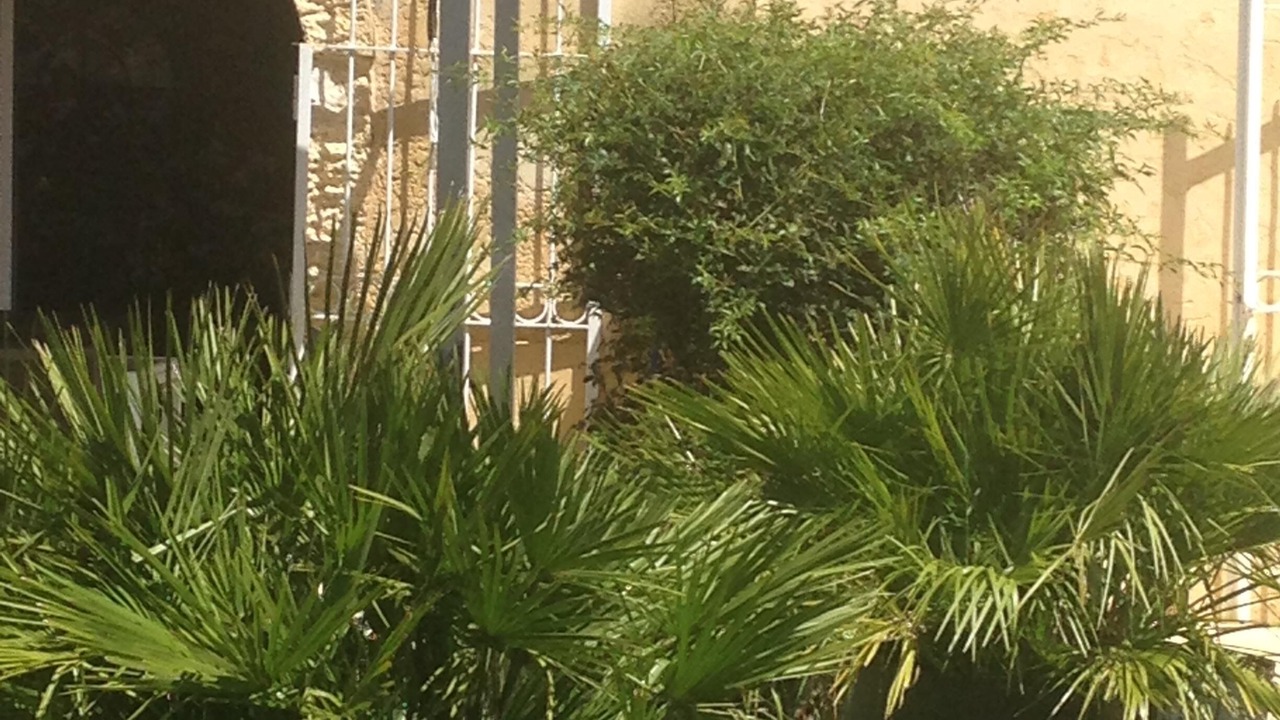 Photo of Outdoor in Saint-Gilles