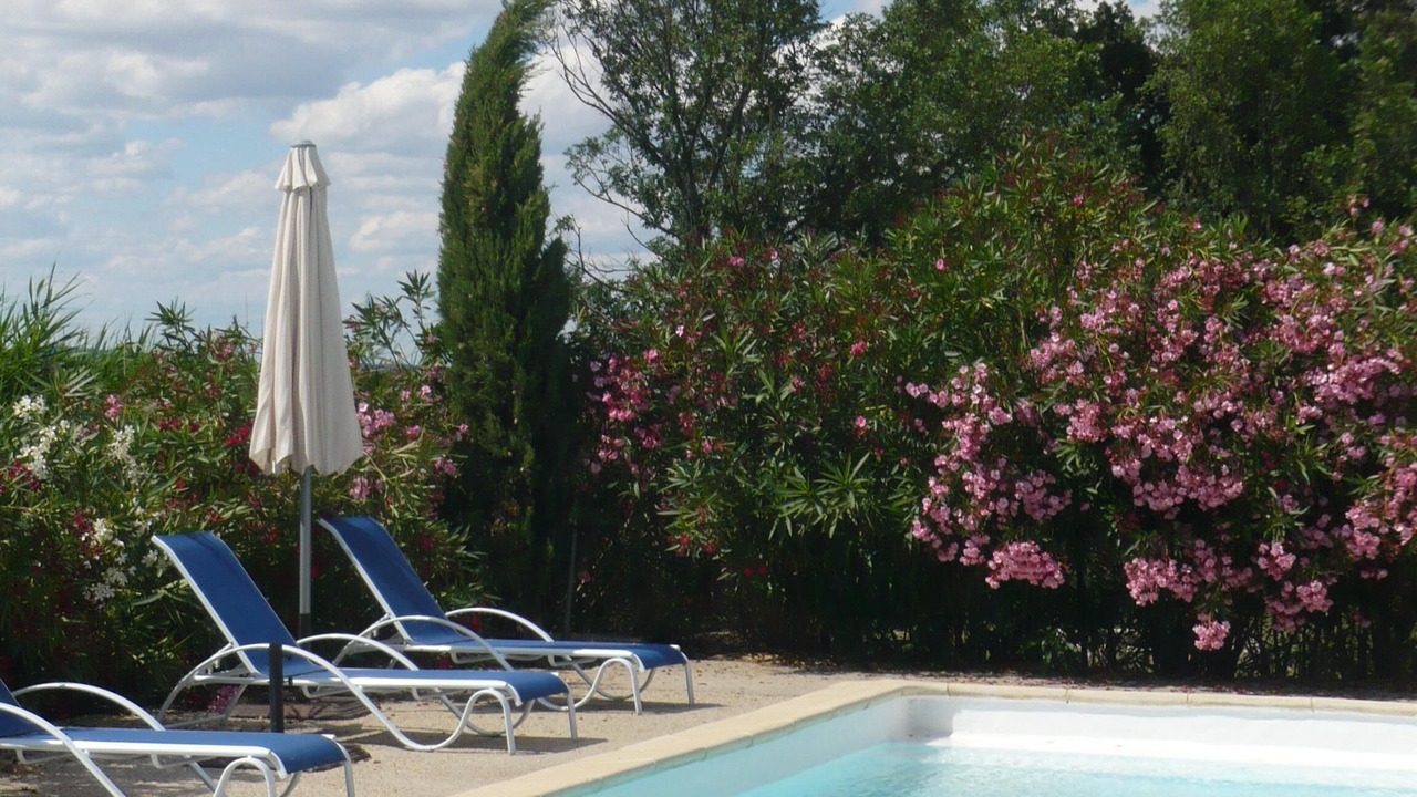 Photo of Outdoor in Saint-Gilles