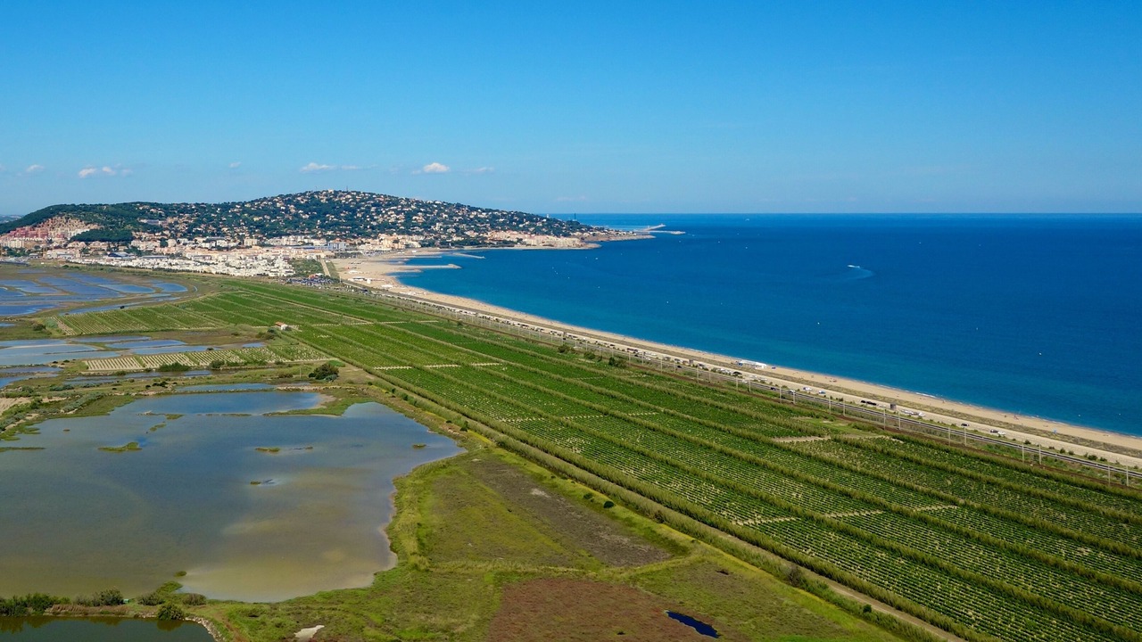 Photo of Others in Sete