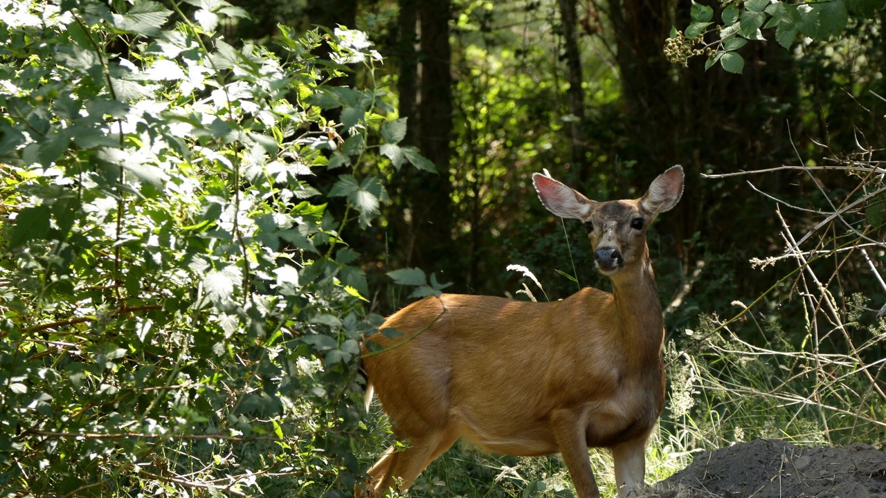 Photo of Others in Freeland
