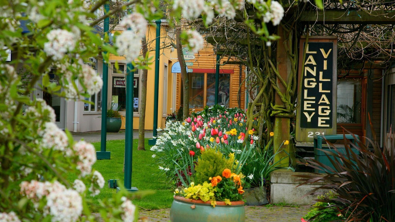 Photo of Others in Freeland