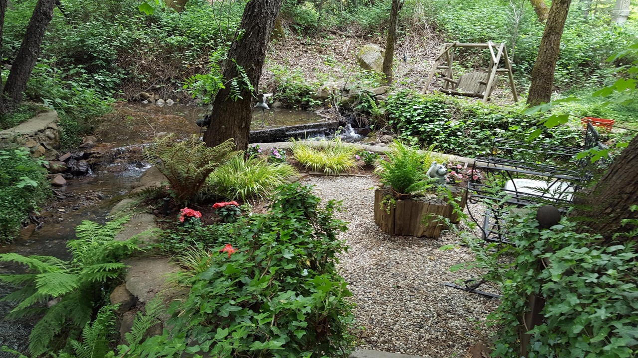 Photo of Others in Alta Sierra