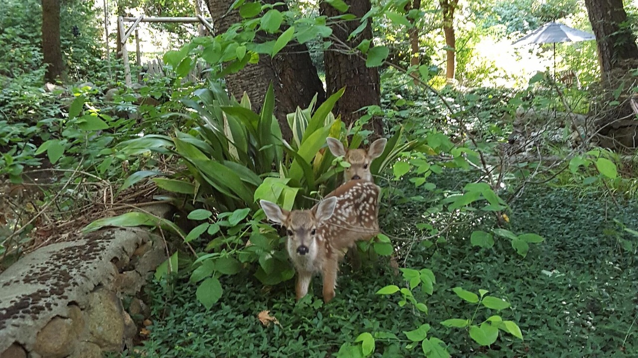Photo of Others in Alta Sierra