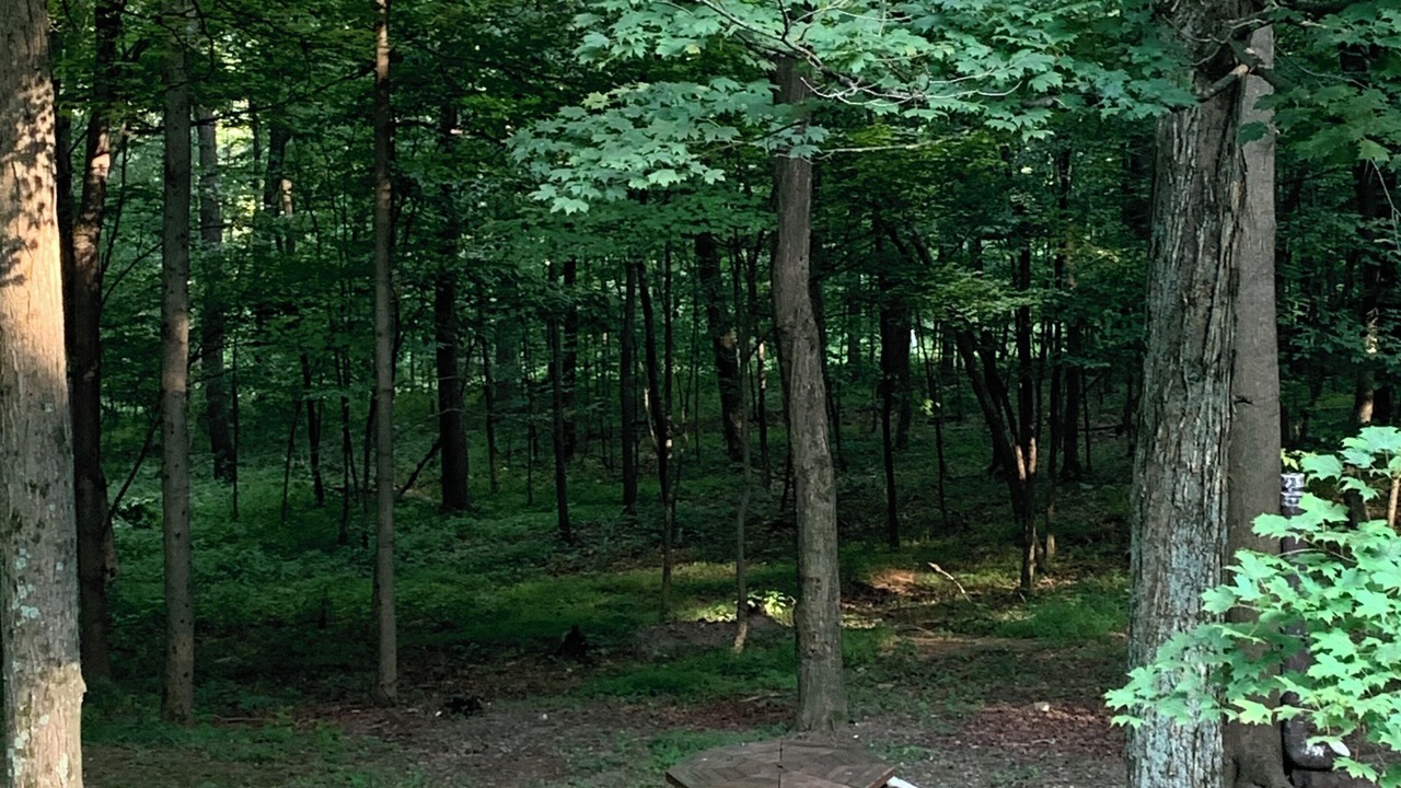 Photo of Outdoor in Blairs Mills