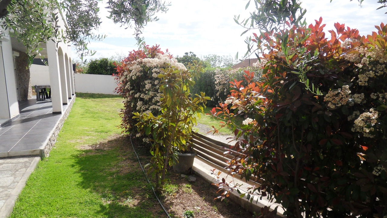 Photo of Outdoor in Folelli