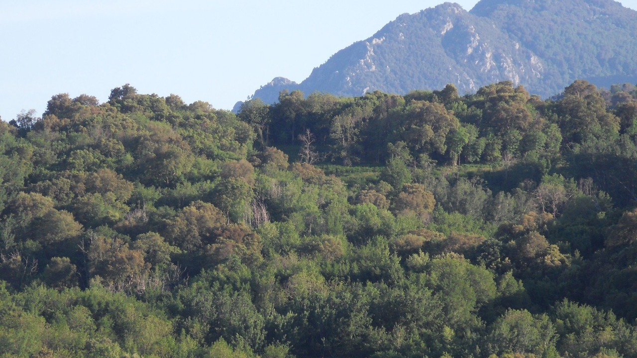 Photo of Others in Folelli