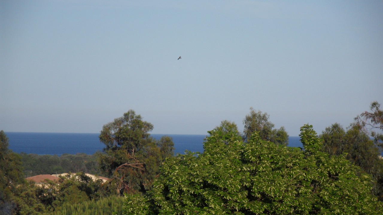 Photo of Others in Folelli