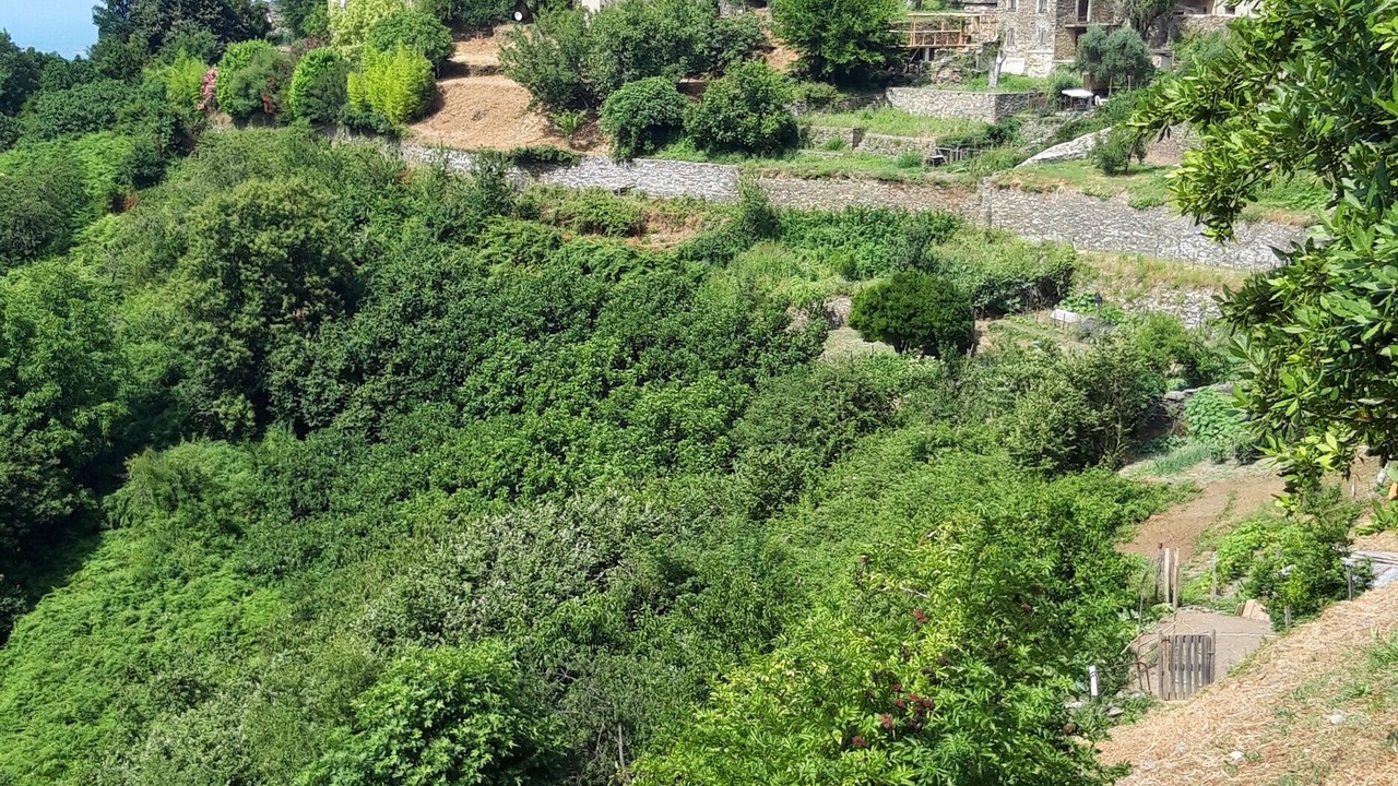 Photo of Others in Folelli