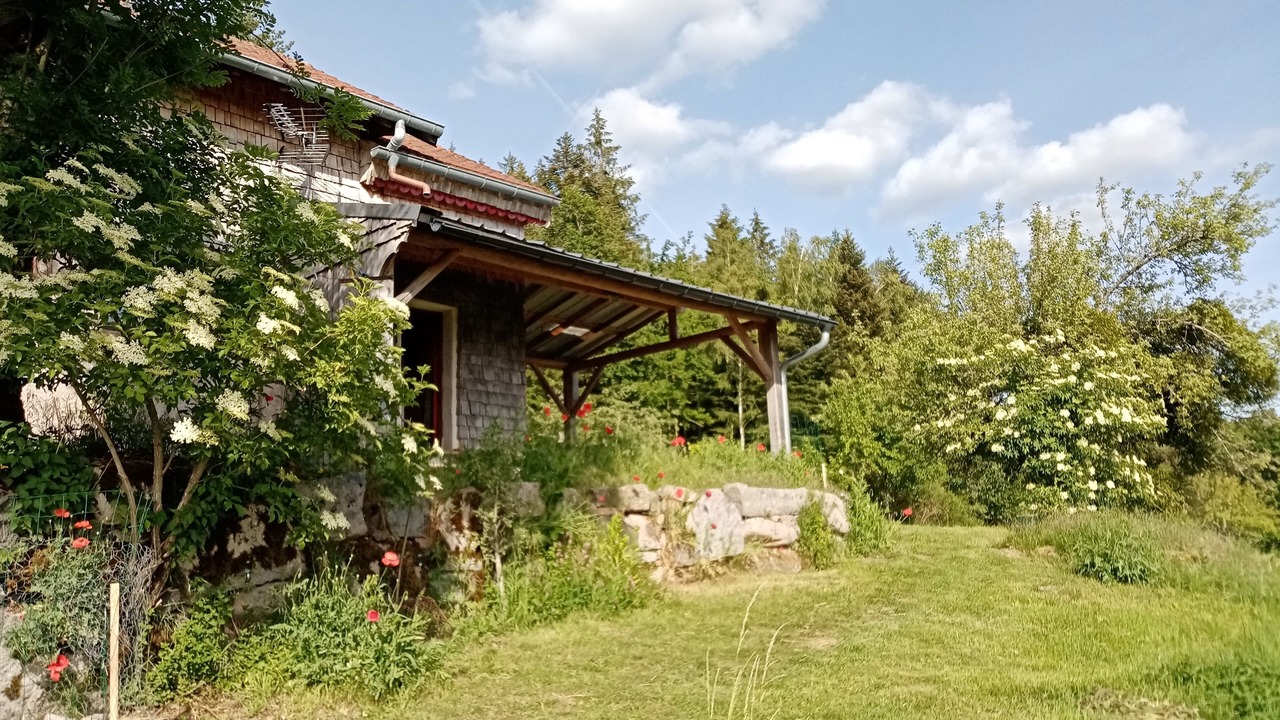 Photo of Outdoor in Vagney