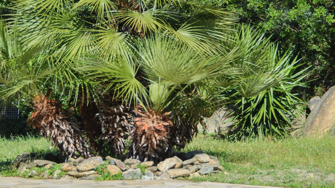 Photo of Outdoor in Oletta