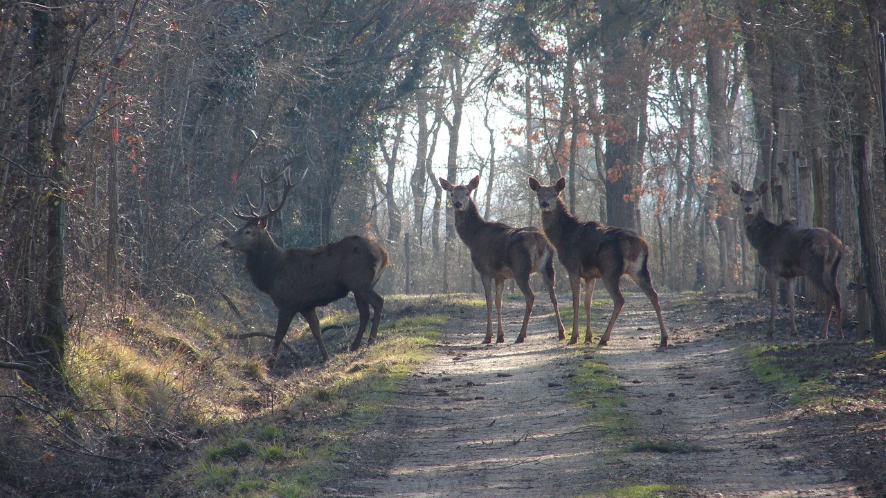 Photo of Outdoor in Noyant-de-Touraine
