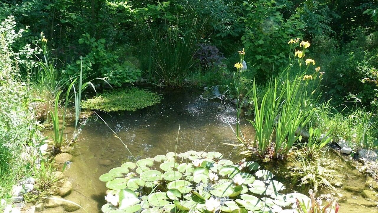 Photo of Outdoor in Mollans-sur-Ouveze
