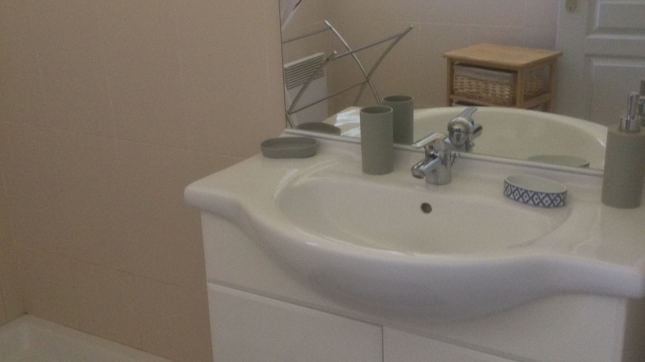 Photo of Bathroom in Palau-del-Vidre