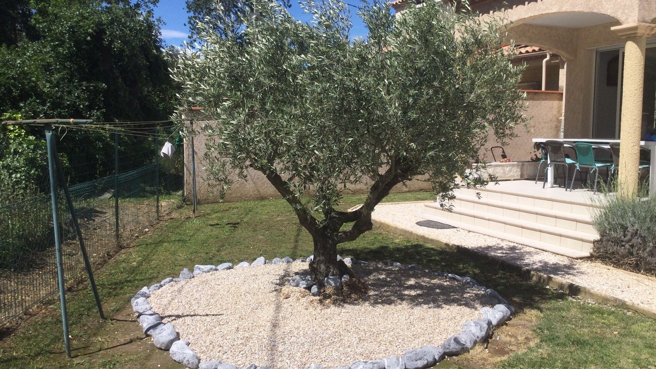 Photo of Outdoor in Palau-del-Vidre
