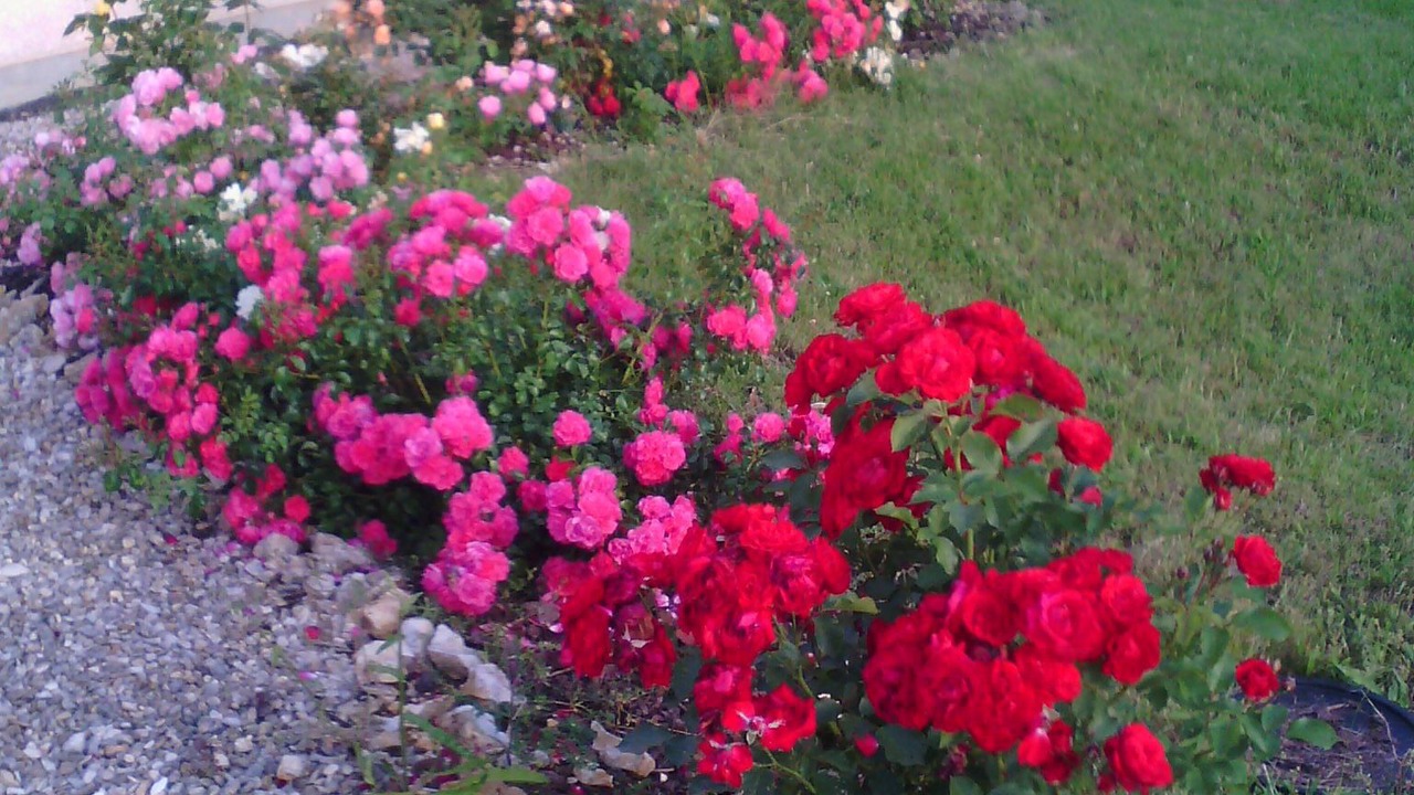 Photo of Outdoor in Loire - Vignobles et Nohain