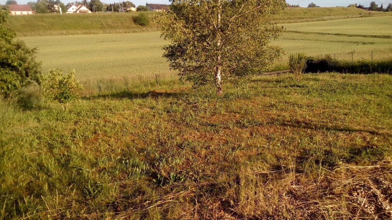 Photo of Outdoor in Loire - Vignobles et Nohain