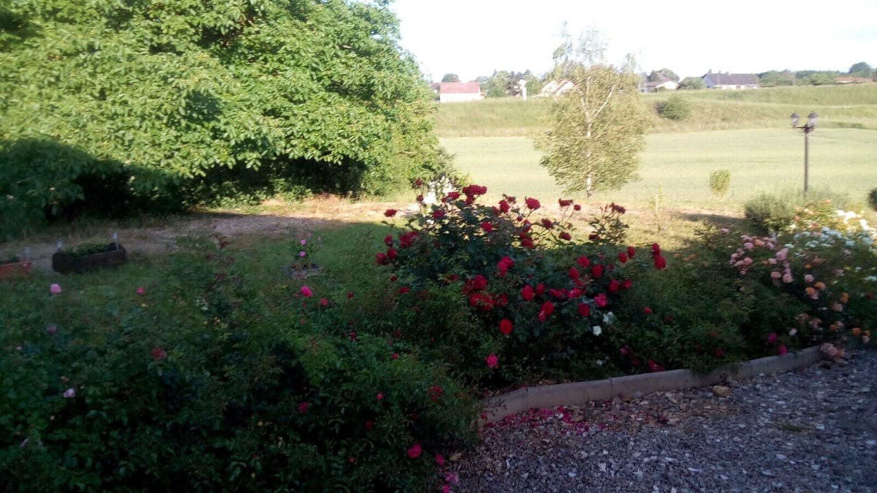 Photo of Outdoor in Loire - Vignobles et Nohain