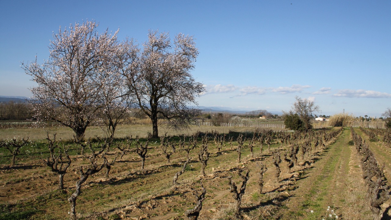 Photo of Outdoor in Ornaisons