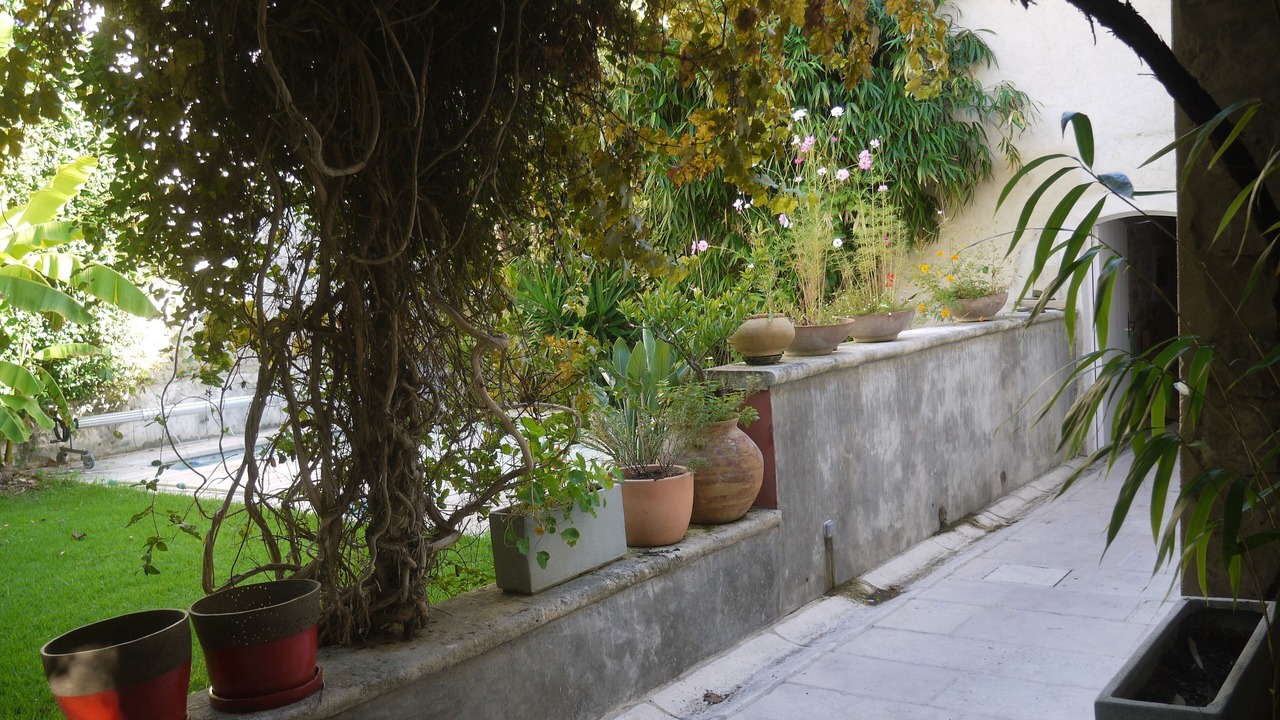 Photo of Outdoor in Cadereau