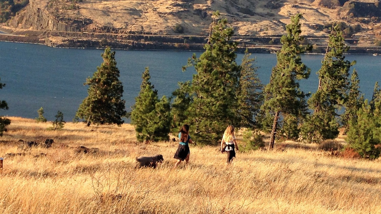 Photo of Others in Mosier