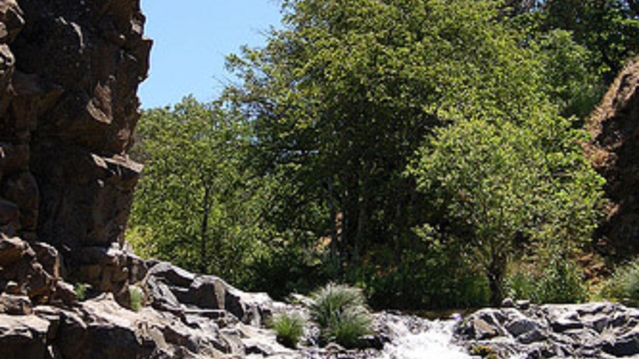 Photo of Others in Mosier