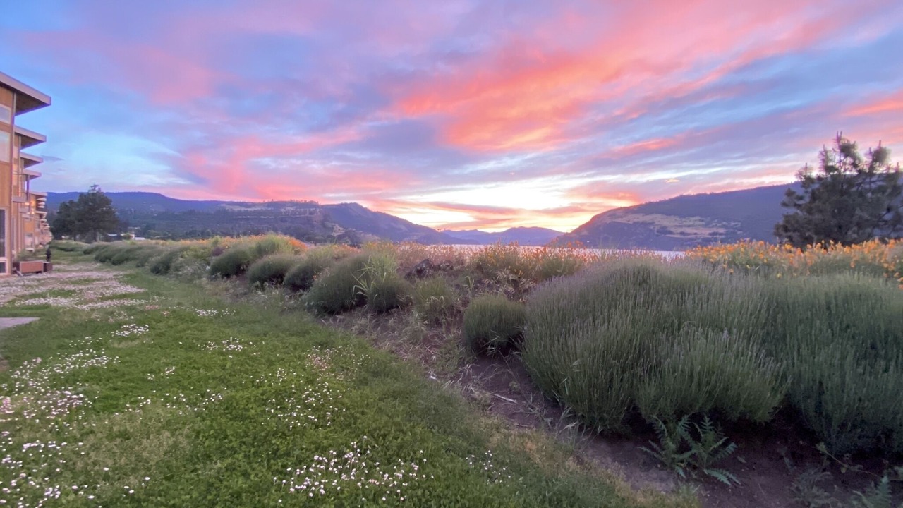 Photo of Others in Mosier