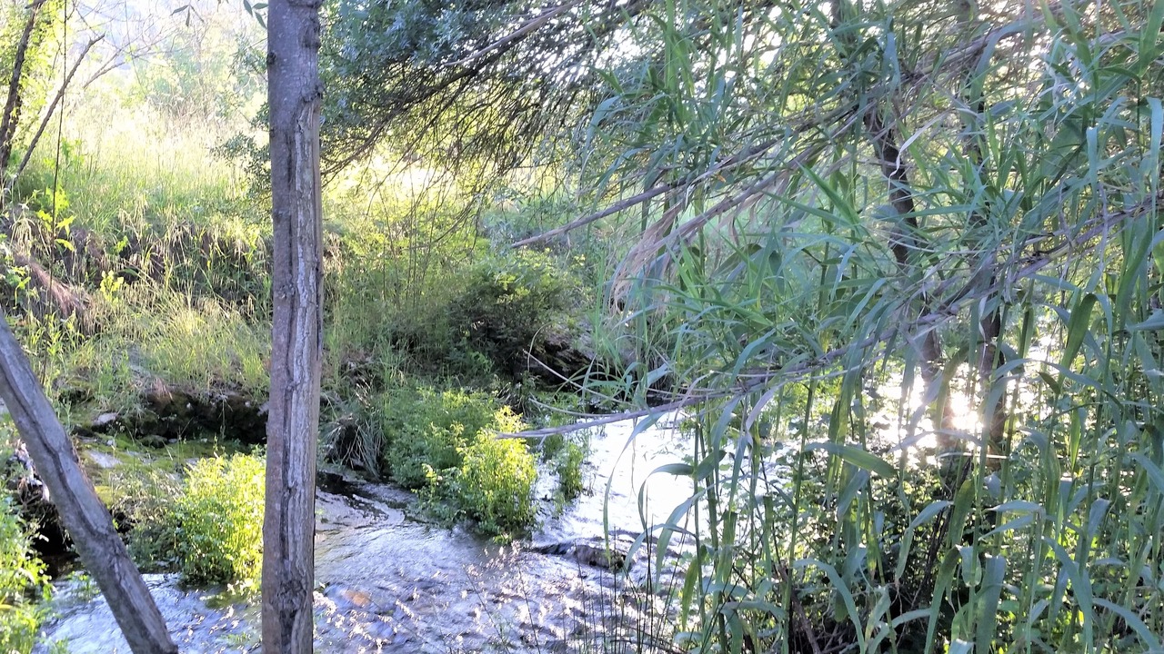 Photo of Outdoor in Saint-Clement