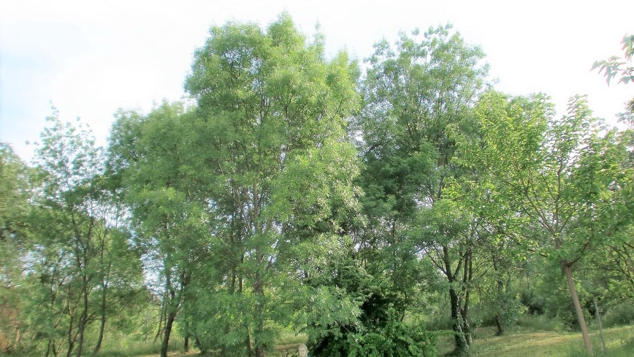 Photo of Outdoor in Saint-Clement
