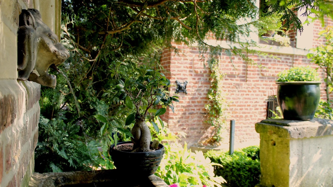 Photo of Outdoor in Amiens