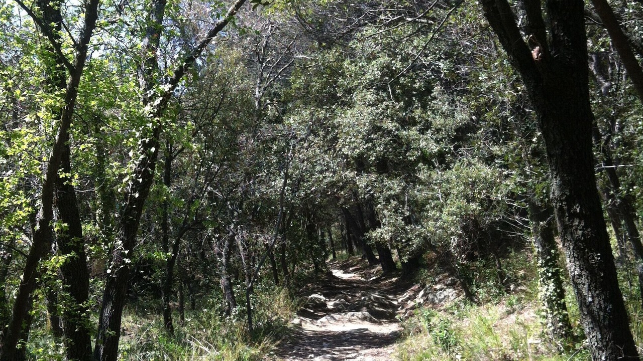 Photo of Outdoor in Lamanon